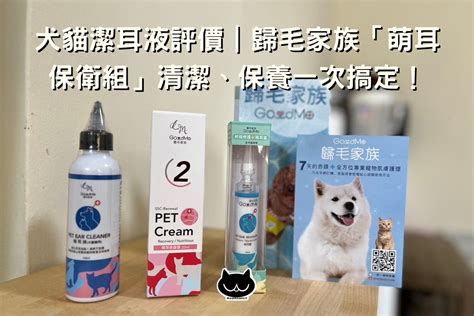 貓咪購買指南：從品種挑選到飼養須知，一次搞定！