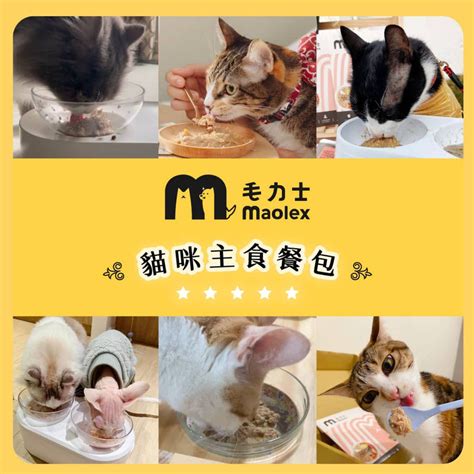 貓咪 wet food 推薦，讓挑食主子愛上吃罐罐！