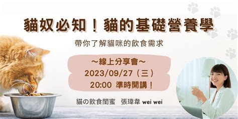 貓奴必知！5大重點一次看懂「貓罐頭」好唔好