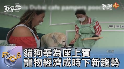 貓狗教育新趨勢：寵物溝通術