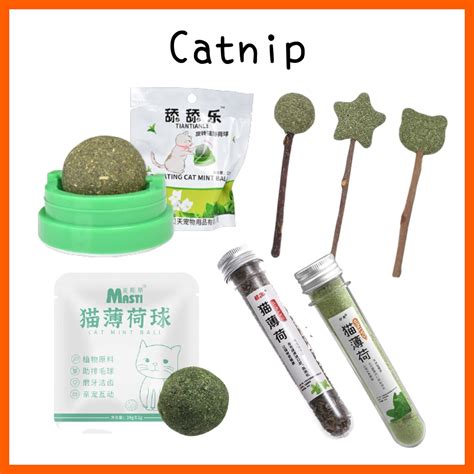 貓薄荷：一種貓咪的迷幻劑