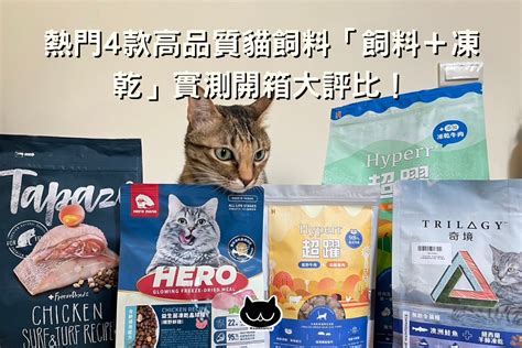 貓飼料：