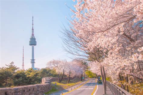 賞櫻勝地，首爾美景