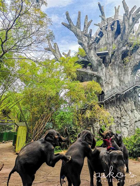 賽佛瑞野生動物園：野生動物天堂的 10,000 個奇妙