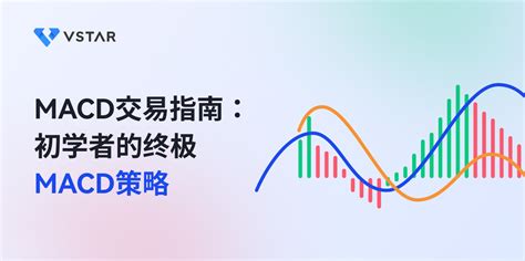 购买Stape：面向初学者的终极指南