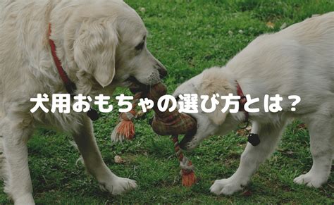 赤ちゃんのための犬用のおもちゃ：選び方と安全性に関する包括ガイド