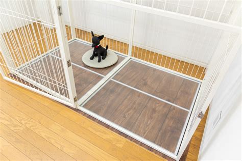 超大型犬に快適なケージ選び: 完全ガイド