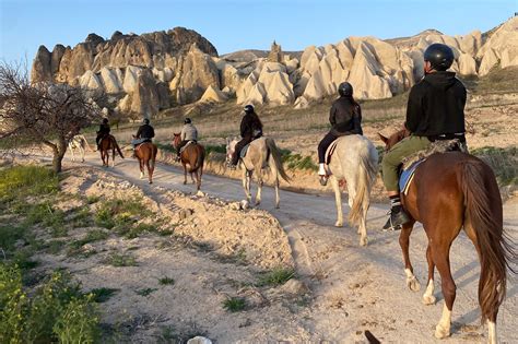 踏上令人興奮的騎馬之旅：探索價格、好處和選擇