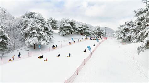 踏上韓國滑雪之旅：從初學者到高級玩家的完整指南