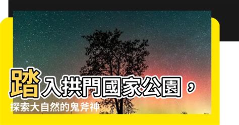 踏入大自然的懷抱，探索一個充滿異國情調植物、刺激遊樂設施和引人入勝文化體驗的熱帶樂園吧！