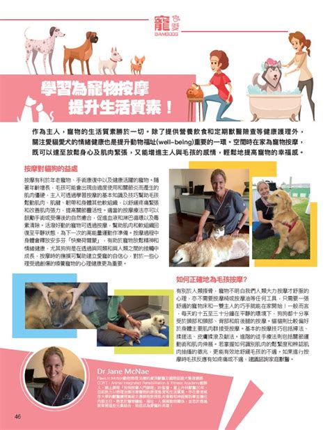 踏出自信，從 Paws in Motion HK 開始！