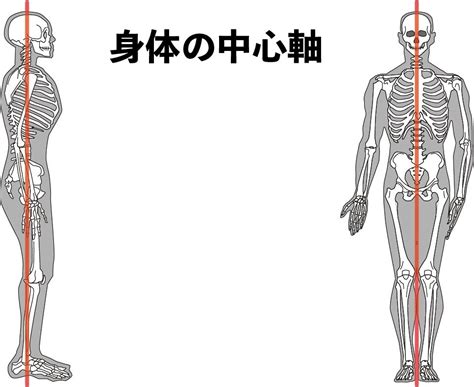 身体の中心の目印：