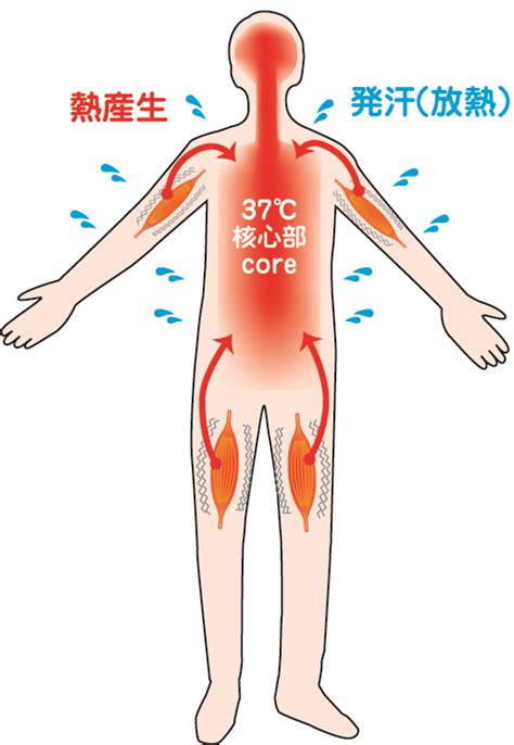 身体の熱を逃がさないようにする
