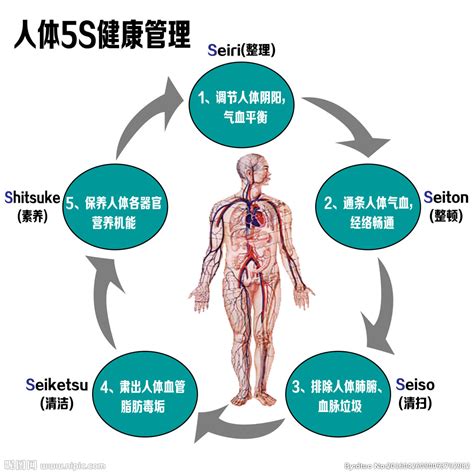 身体的健康管理