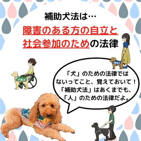 身体障害者補助犬法とは？