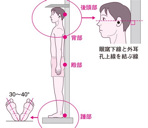 身長測定の正しい方法 完全ガイド