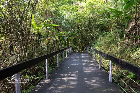 近距離接觸大自然的最佳選擇