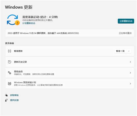 适用于 Windows 电脑