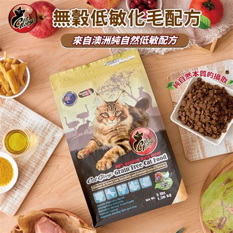 進階飼料 5 大好處，讓你家的貓咪健康更上一層樓！