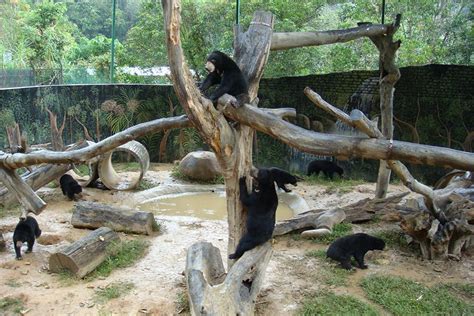 遊覽洛卡宜野野生動物園