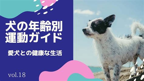 運動量の多い愛犬のために最高のリードを選択しよう！