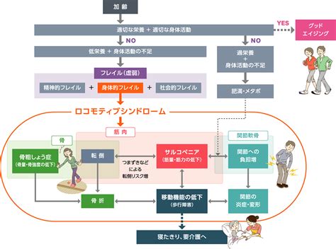 運動量の減少: