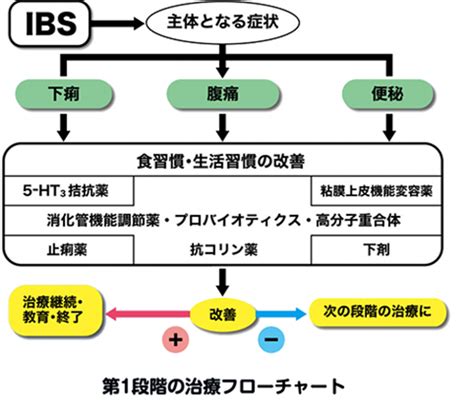 過敏性腸症候群（IBS）：