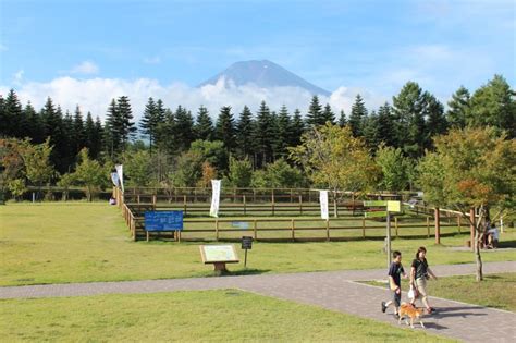 道の駅富士吉田ドッグラン: 愛犬との楽しいひとときを過ごせるおすすめスポット