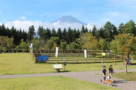 道の駅富士吉田ドッグランで愛犬と楽しいひとときを！