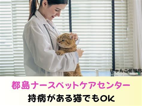 遠藤動物病院: 信頼できる動物ケアのガイド