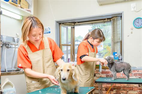 遠藤動物病院でペットの健康を守りましょう