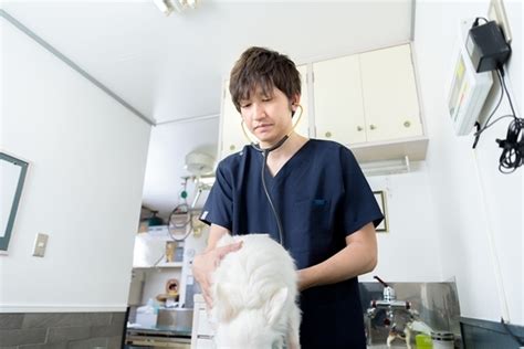 遠藤動物病院でペットを健康に保つための包括ガイド