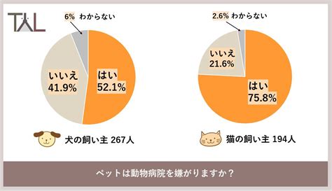 遠藤犬猫病院における最先端医療とペットの健康管理の徹底ガイド