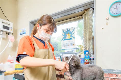 遠藤 動物 病院