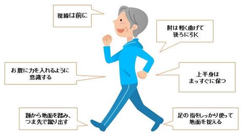 適切な散歩の頻度と時間