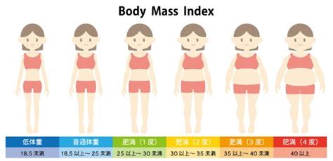 適正体重と見た目の関係：健康と美の狭間で