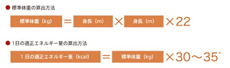 適正量の算出方法