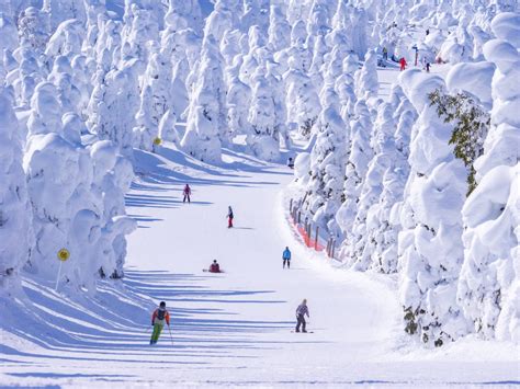 選擇滑雪勝地