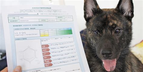 遺伝子検査で愛犬の健康と未来を解き明かす！