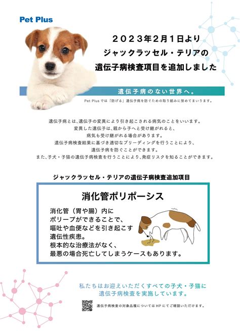 遺伝子検査犬：ペットの健康を守る最先端ツール