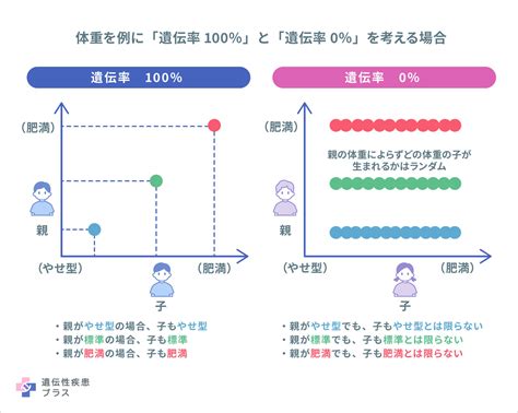 遺伝的に決まる