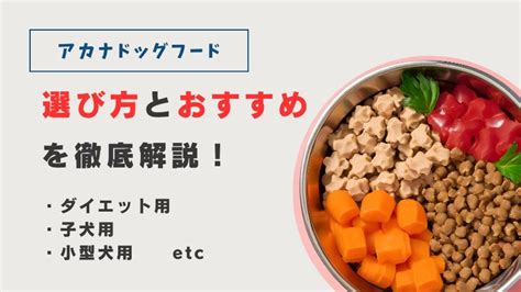 避妊手術後の愛犬に最適なドッグフード選びガイド