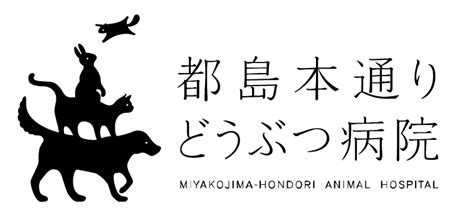 都島 本通り どうぶつ 病院：ペットの健康と幸せを最優先する医療機関