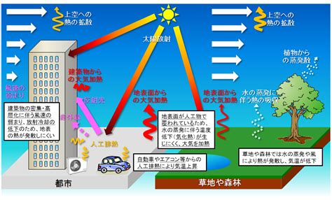 都市熱化の実態