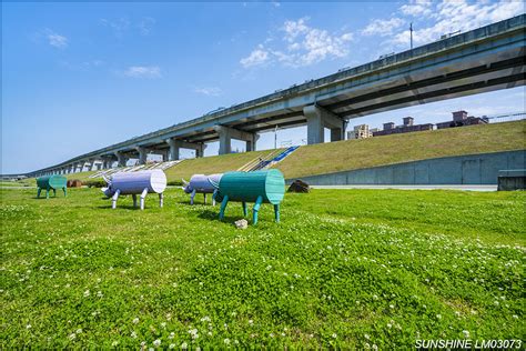 都會公園捷運，打造綠色大眾運輸新典範