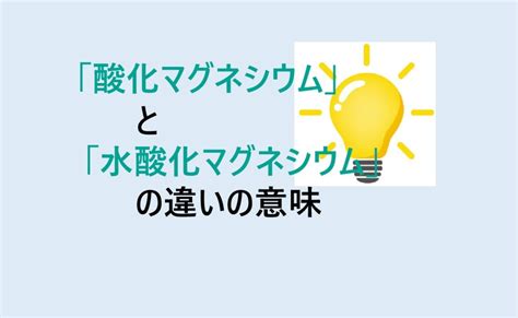 酸化マグネシウムと猫：食事における使用と安全性に関する包括ガイド