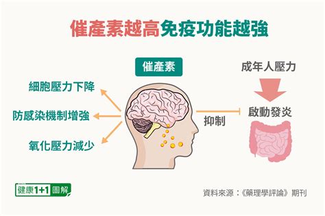 釋放催產素：