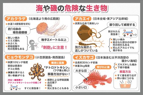 里芋の毒に潜む危険性 - 知っておくべき事実と対処法