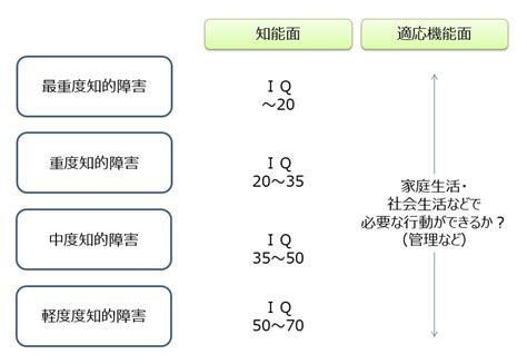 重度の知的障害の寿命に関する包括ガイド