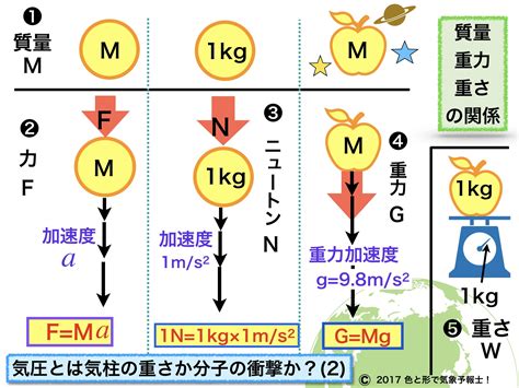 重量とかさばり：